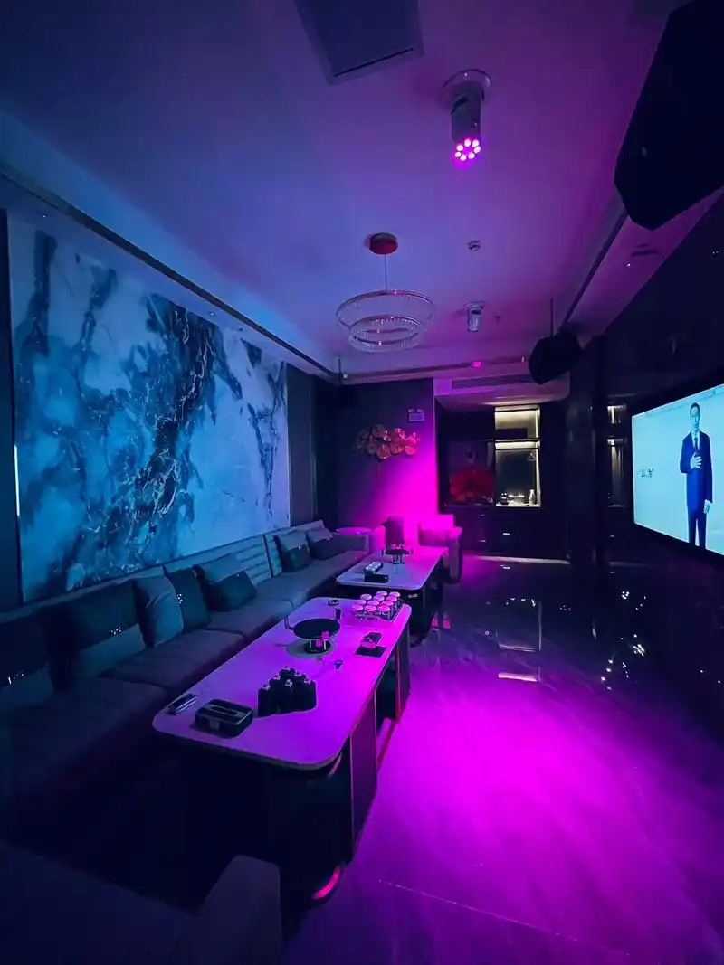 商务ktv的魅力探寻-天桥区ktv预定